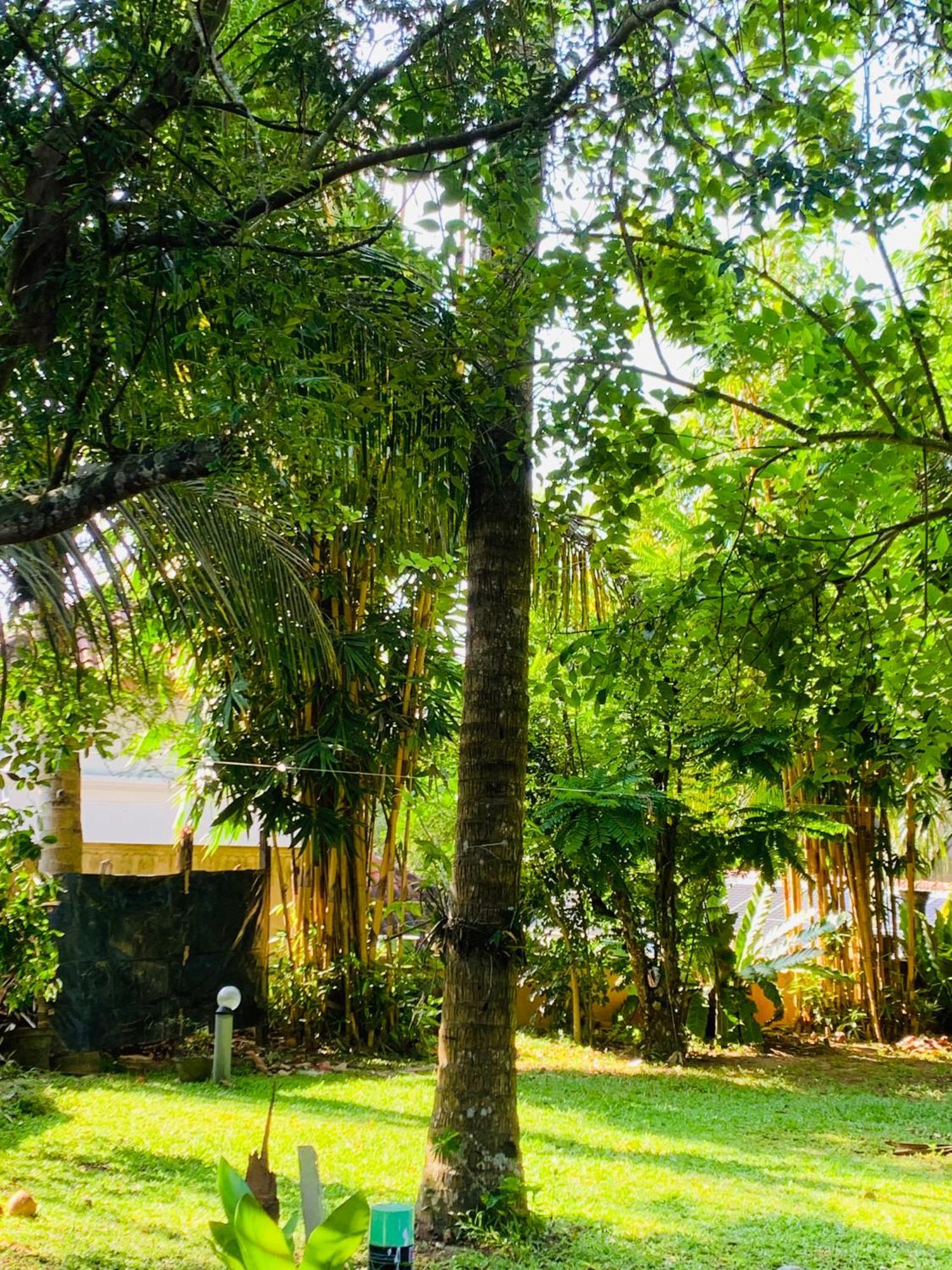 Cinnamon House Hiriketiya Dikwella Luaran gambar