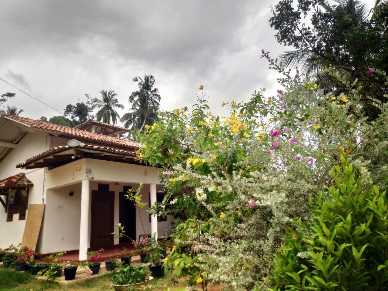 Cinnamon House Hiriketiya Dikwella Luaran gambar