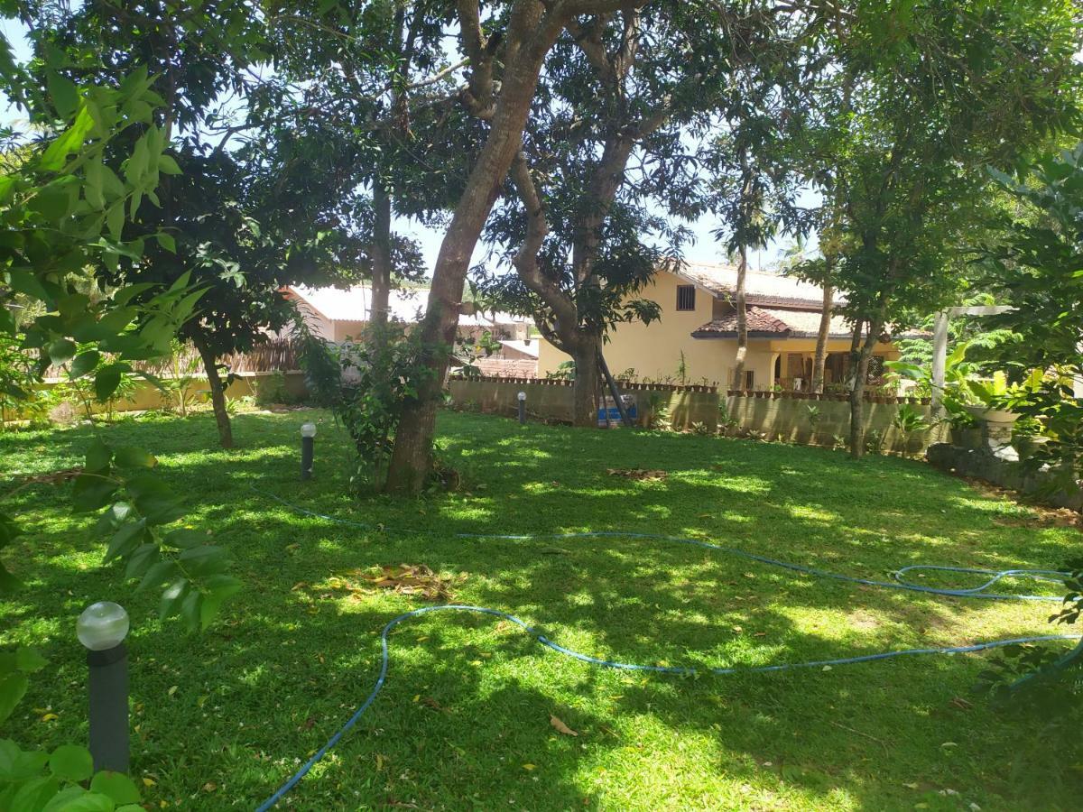 Cinnamon House Hiriketiya Dikwella Luaran gambar