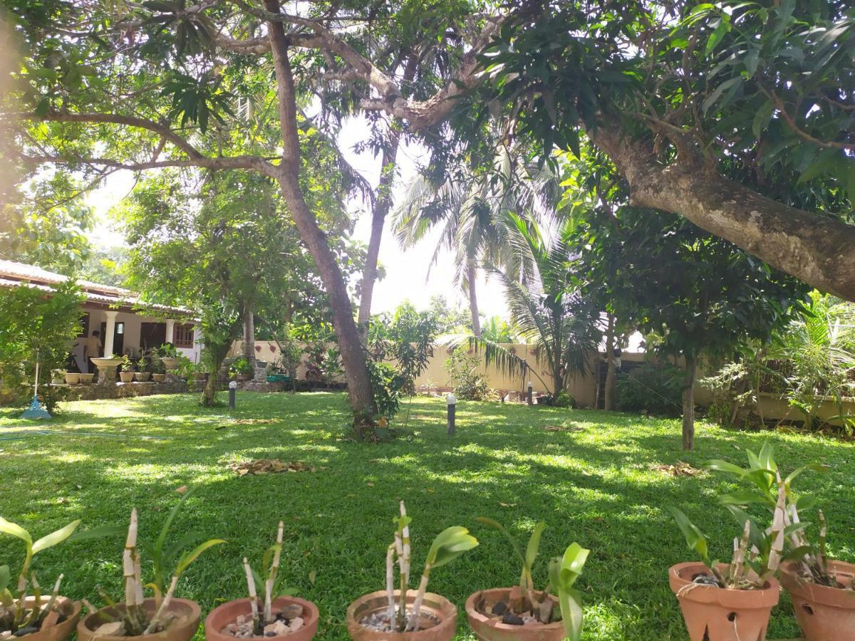 Cinnamon House Hiriketiya Dikwella Luaran gambar