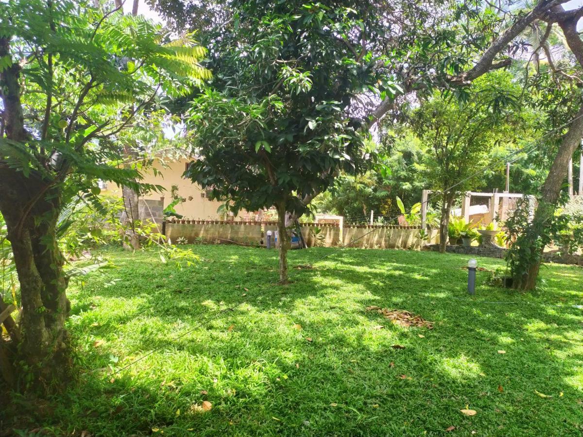 Cinnamon House Hiriketiya Dikwella Luaran gambar