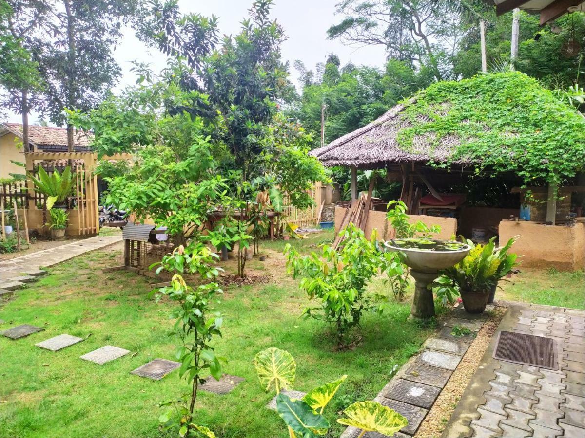 Cinnamon House Hiriketiya Dikwella Luaran gambar